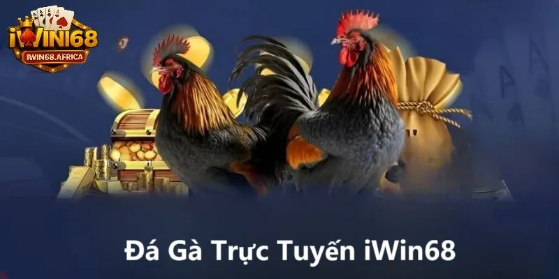 Đá gà trực tuyến là gì? Toàn bộ thông tin đá gà bạn cần biết